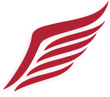 shape